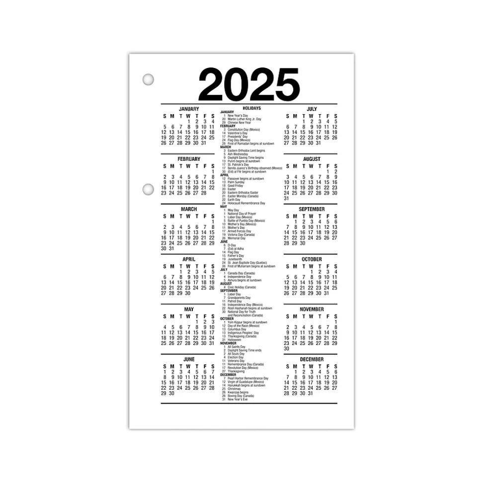 2025 AT-A-GLANCE 6" x 3.5" Daily Desk Calendar Refill, White/Black (E717R-50-25)