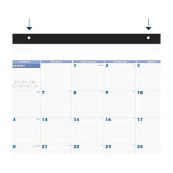 2025 AT-A-GLANCE 21.75" x 17" Monthly Desk Pad Calendar, White/Blue (SW200-00-25)