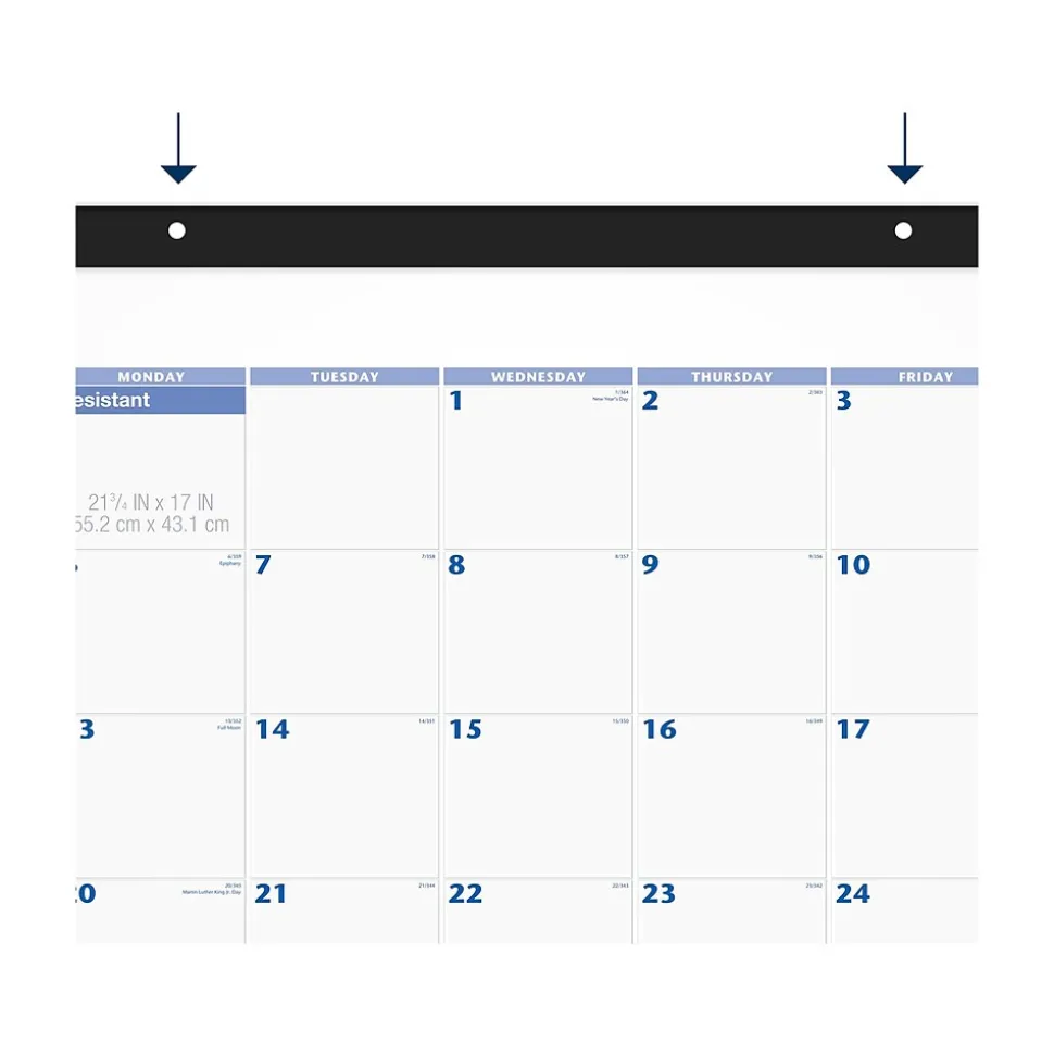2025 AT-A-GLANCE 21.75" x 17" Monthly Desk Pad Calendar, White/Blue (SW200-00-25)