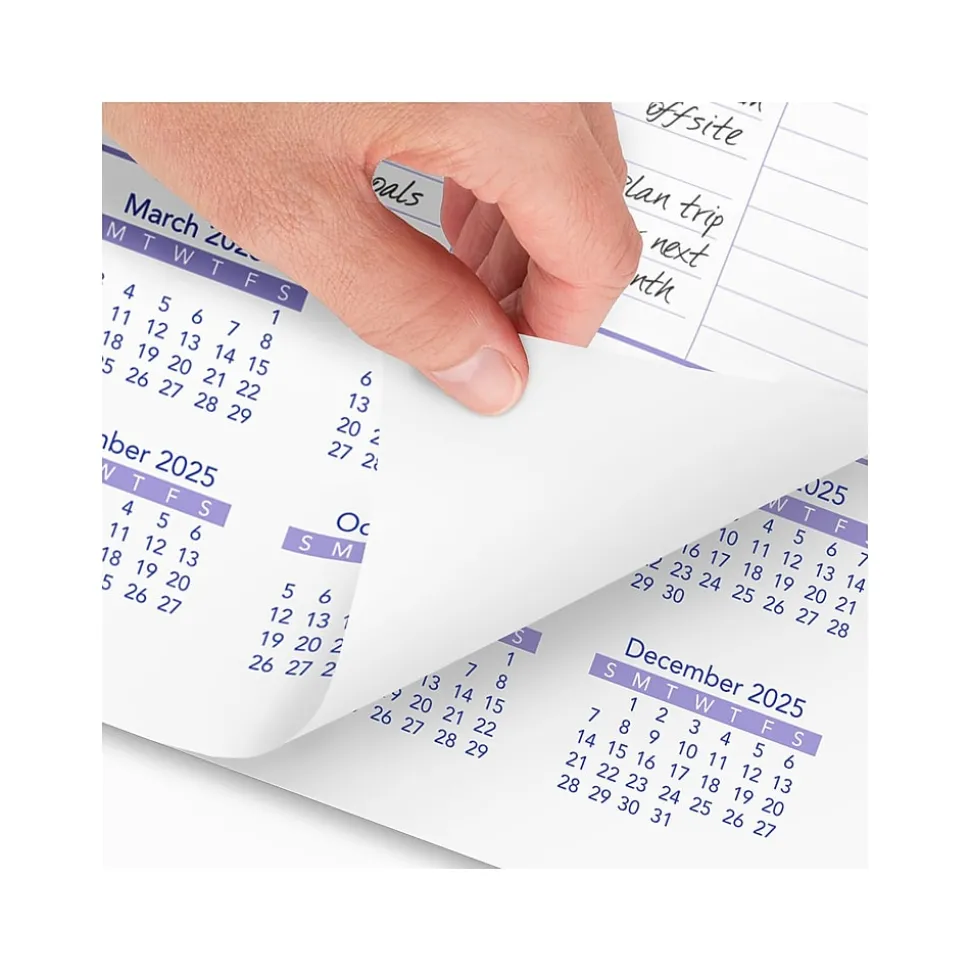 2025 AT-A-GLANCE 12" x 17" Monthly Wall Calendar, (PM2-28-25)