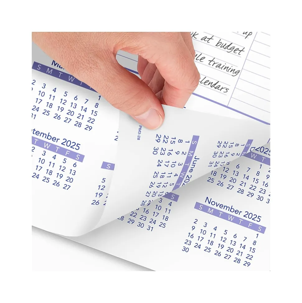 2025 AT-A-GLANCE 15.5" x 22.75" Monthly Wall Calendar, White/Purple (PM3-28-25)