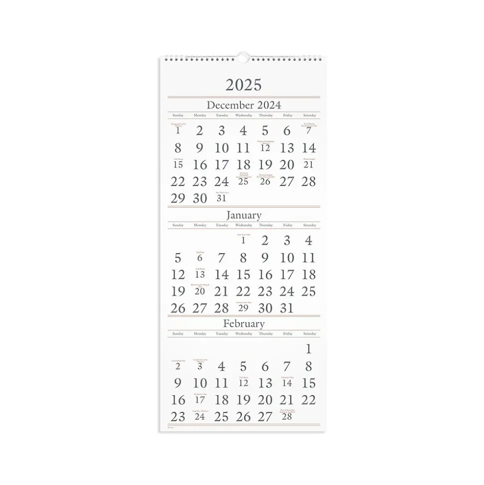 2025 AT-A-GLANCE 12" x 27" Three-Month Wall Calendar, White/Black (SW115-28-25)