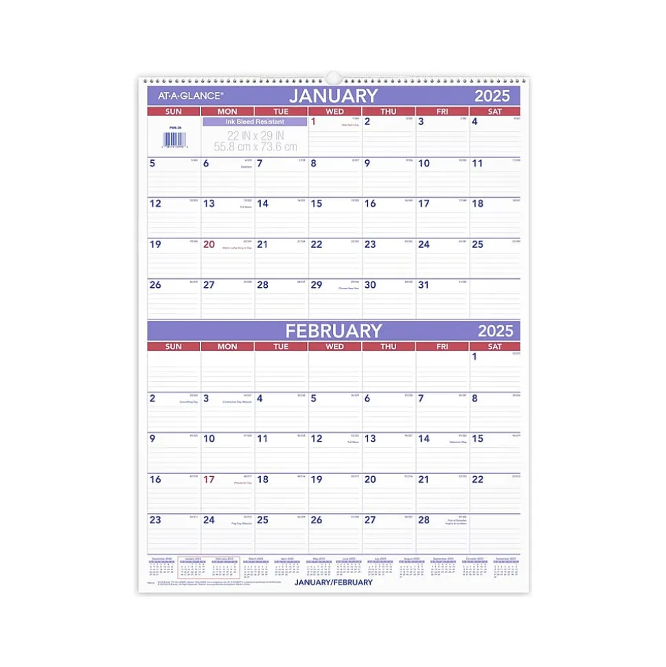 2025 AT-A-GLANCE 22" x 29" Two-Month Wall Calendar, White/Purple (PM9-28-25)