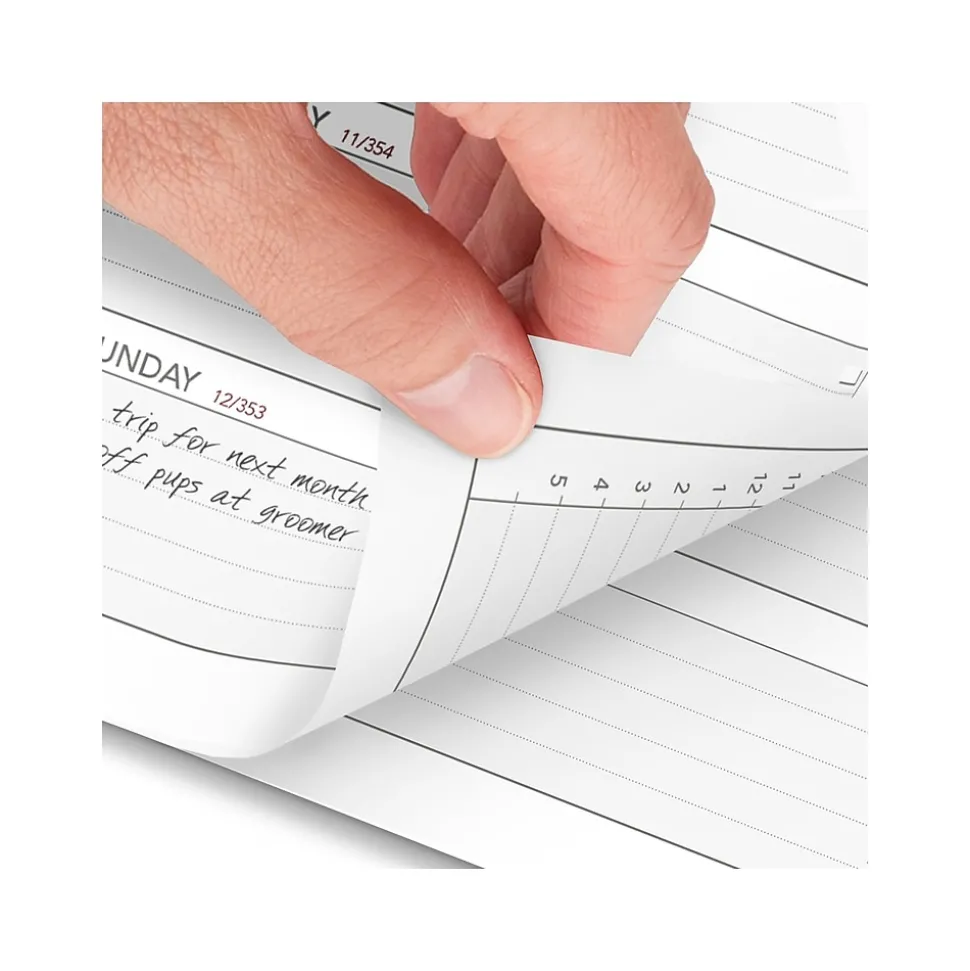 2025 AT-A-GLANCE 6.75" x 3.75" Weekly Planner Refill, White/Gray (063-285Y-25)