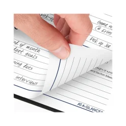 2024-2025 AT-A-GLANCE DayMinder 3.5