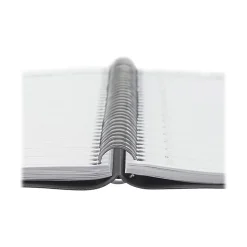 2024-2025 AT-A-GLANCE DayMinder 8.5