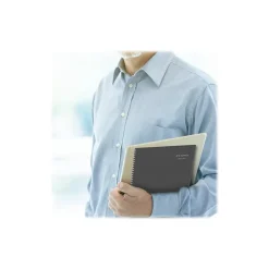 2024-2025 AT-A-GLANCE DayMinder 8.5