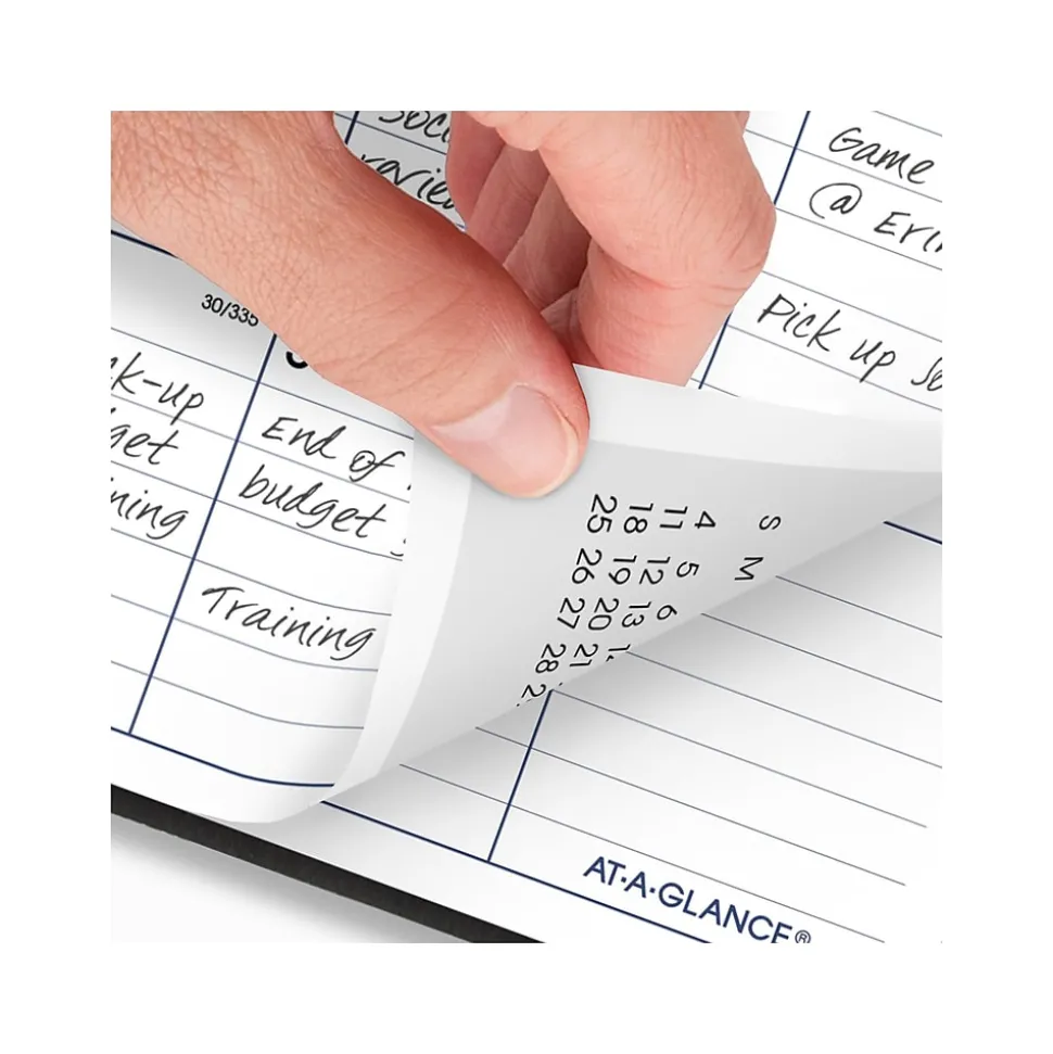 2025 AT-A-GLANCE DayMinder 8" x 12" Monthly Planner, Faux Leather Cover, Black (SK2-00-25)