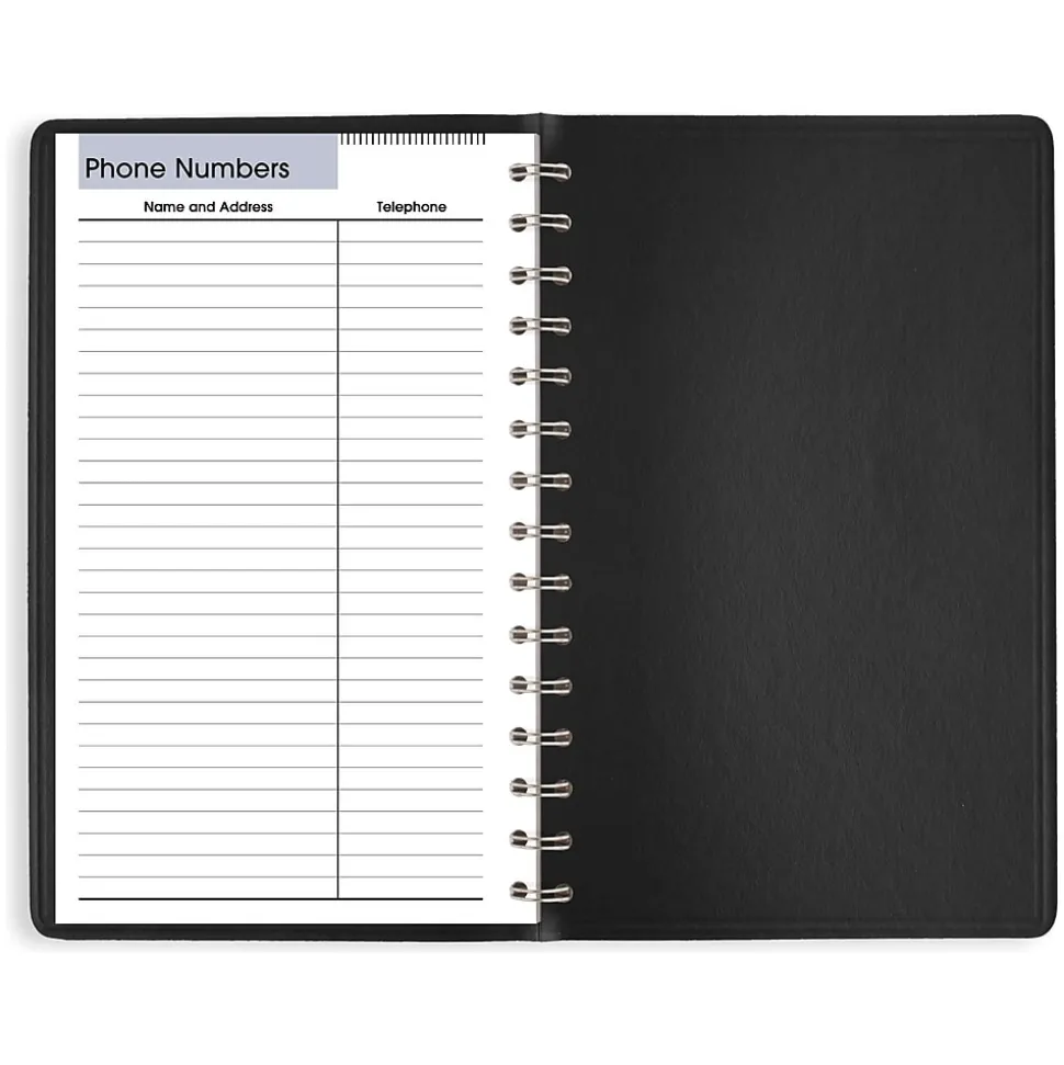 2025 AT-A-GLANCE DayMinder 5" x 8" Daily Appointment Book, Faux Leather Cover, Black (SK44-00-25)