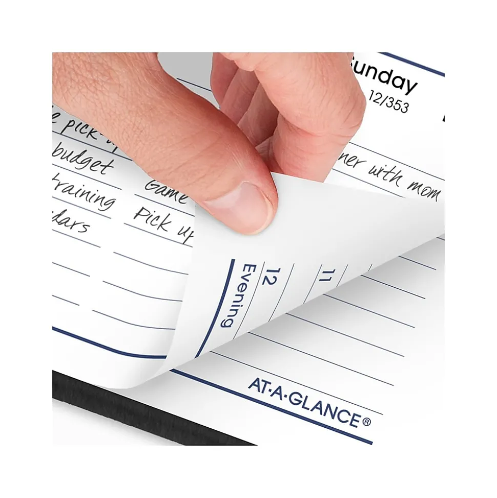2025 AT-A-GLANCE DayMinder 5" x 8" Weekly Appointment Book, Faux Leather Cover, Black (G200-00-25)