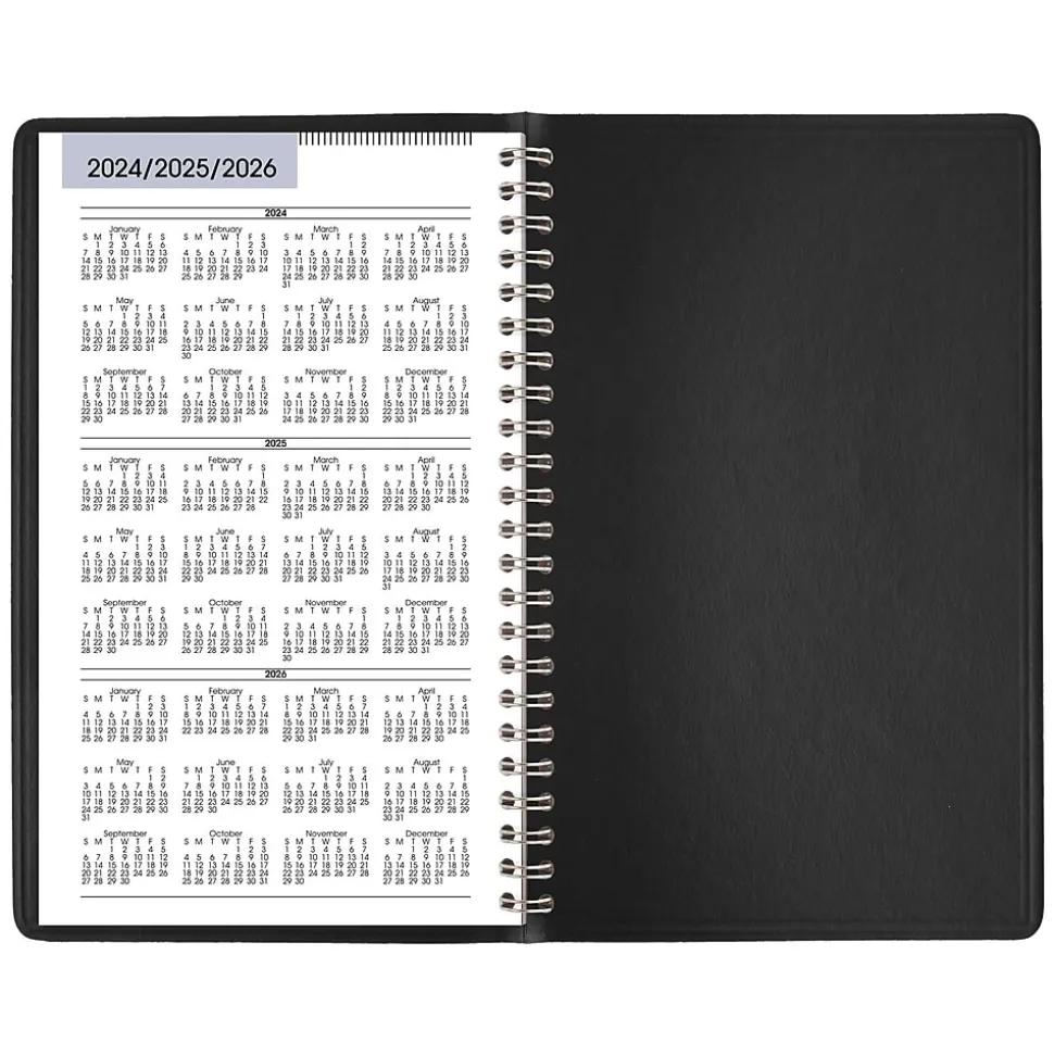 2025 AT-A-GLANCE DayMinder 5" x 8" Weekly Appointment Book, Faux Leather Cover, Black (G200-00-25)
