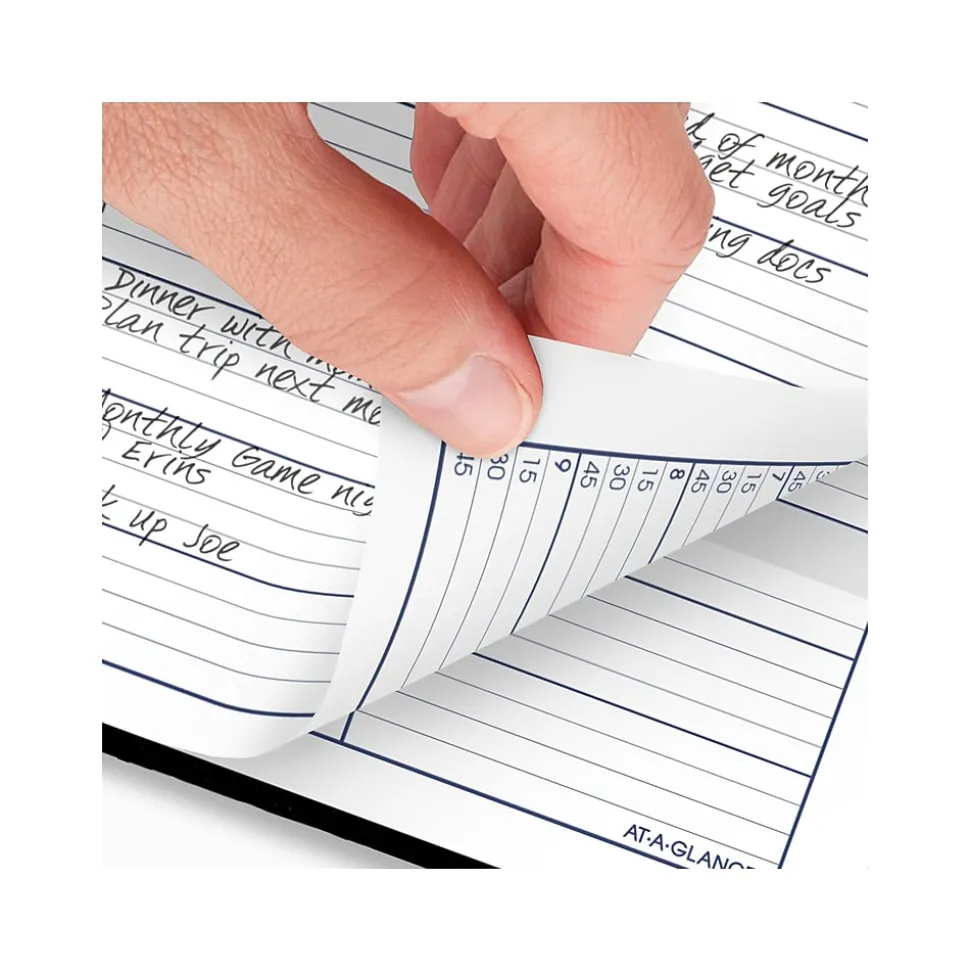 2025 AT-A-GLANCE DayMinder 8" x 11" Weekly Appointment Book Planner, Faux Leather Cover, Black (G520H-00-25)