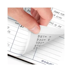 2025 AT-A-GLANCE DayMinder 8