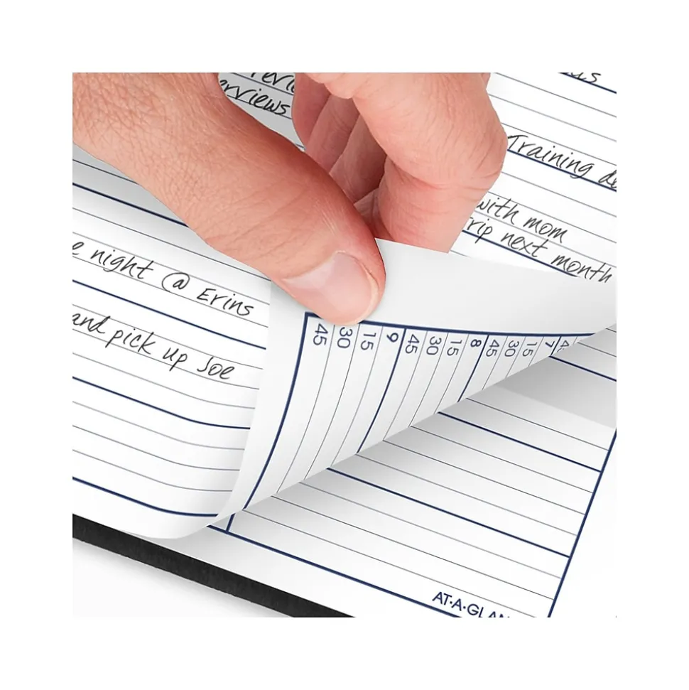 2025 AT-A-GLANCE DayMinder 8" x 11" Weekly Appointment Book, Faux Leather Cover, Black (G520-00-25)