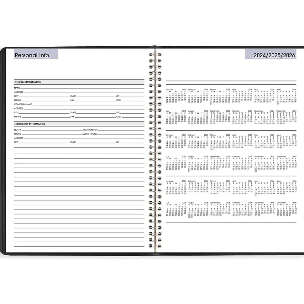 2025 AT-A-GLANCE DayMinder 8" x 11" Weekly Appointment Book, Faux Leather Cover, Black (G520-00-25)