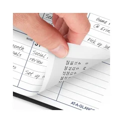 2025 AT-A-GLANCE DayMinder 8