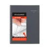 2025 AT-A-GLANCE DayMinder 8.5" x 11" Weekly & Monthly Appointment Book, Plastic Cover, Gray (GC520-07-25)