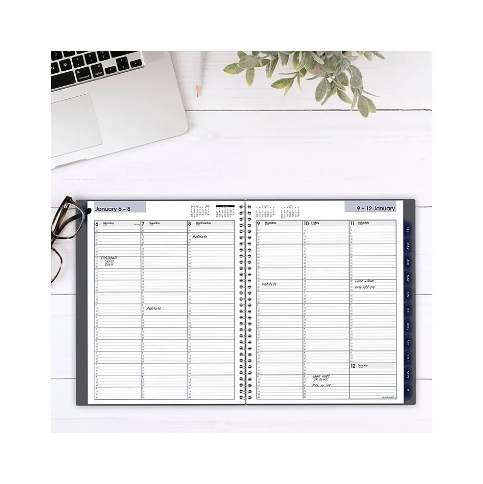 2025 AT-A-GLANCE DayMinder 8.5" x 11" Weekly & Monthly Appointment Book, Plastic Cover, Gray (GC520-07-25)