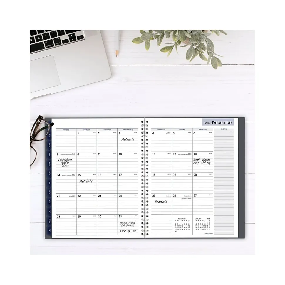 2025 AT-A-GLANCE DayMinder 8.5" x 11" Weekly & Monthly Appointment Book, Plastic Cover, Gray (GC520-07-25)