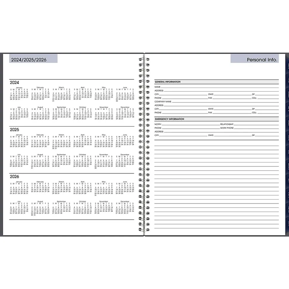 2025 AT-A-GLANCE DayMinder 8.5" x 11" Weekly & Monthly Appointment Book, Plastic Cover, Gray (GC520-07-25)