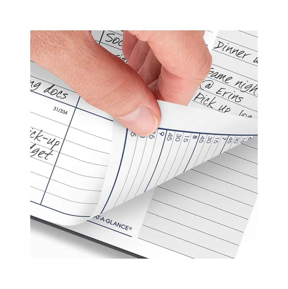 2025 AT-A-GLANCE DayMinder 8.5" x 11" Weekly & Monthly Appointment Book, Plastic Cover, Gray (GC520-07-25)