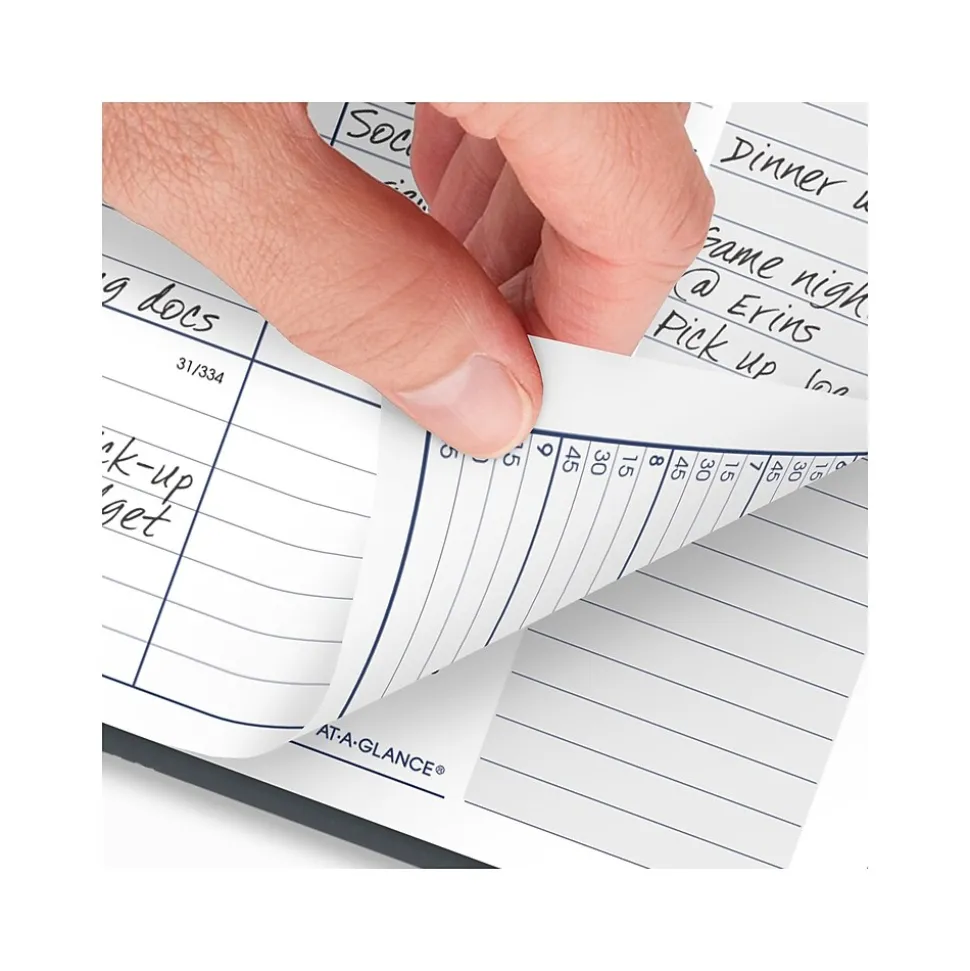 2025 AT-A-GLANCE DayMinder 8.5" x 11" Weekly & Monthly Planner, Poly Cover, Gray (GC545-07-25)