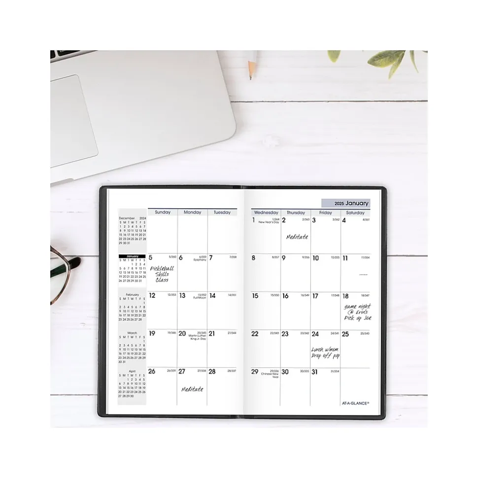 2025 AT-A-GLANCE DayMinder 3.5" x 6" Monthly Planner, Plastic Cover, Black (SK53-00-25)