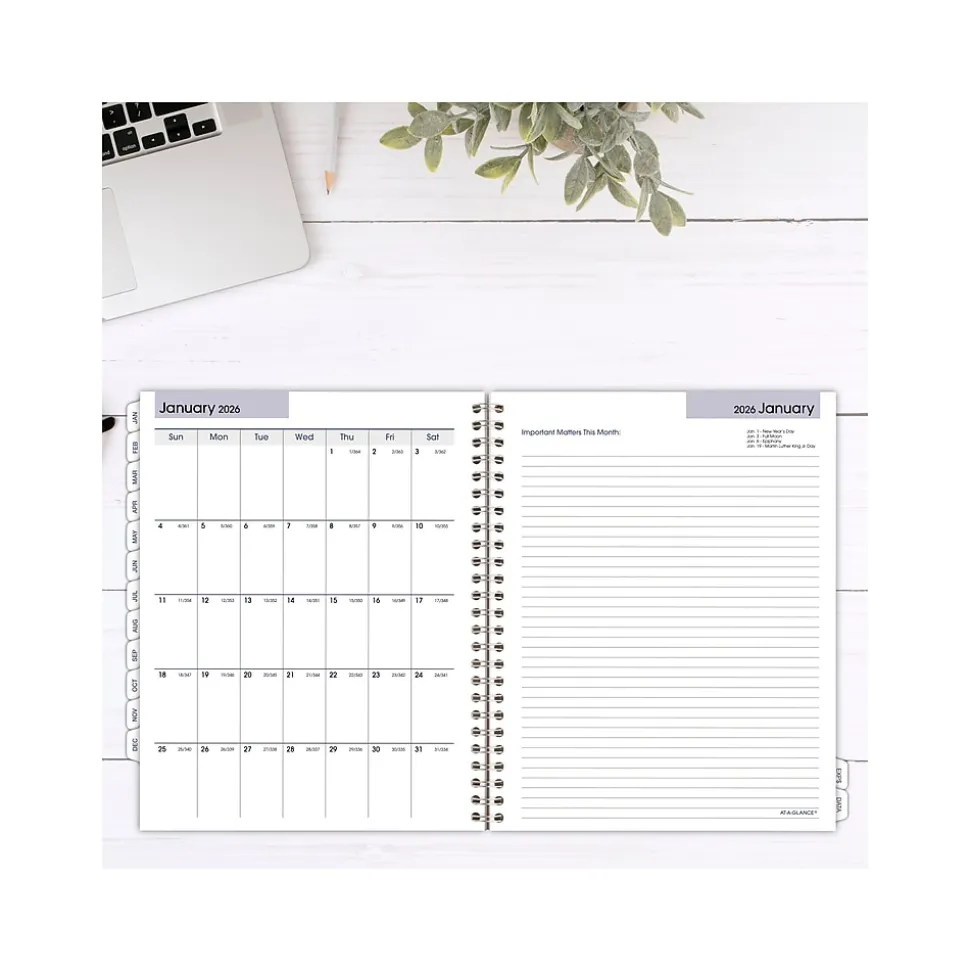 2025 AT-A-GLANCE DayMinder Executive 8.75" x 7" Weekly & Monthly Planner Refill Pages, White (G545-50-25)