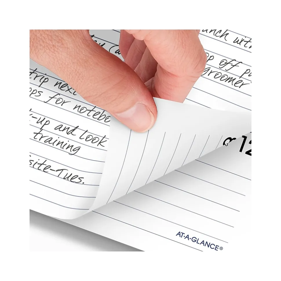 2025 AT-A-GLANCE DayMinder Executive 8.75" x 7" Weekly & Monthly Planner Refill Pages, White (G545-50-25)