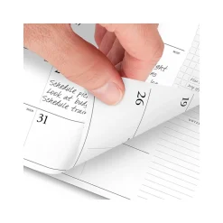 2025 AT-A-GLANCE Executive 11