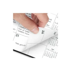 2025 AT-A-GLANCE Large Print 7