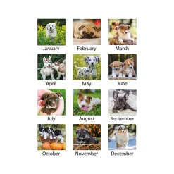 2025 AT-A-GLANCE Puppies 21.75" x 17" Monthly Desk Pad Calendar (DMD166-32-25)