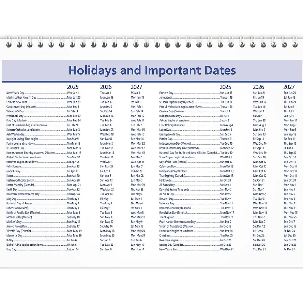 2025 AT-A-GLANCE QuickNotes 11" x 8" Monthly Desk or Wall Calendar, (PM50-28-25)