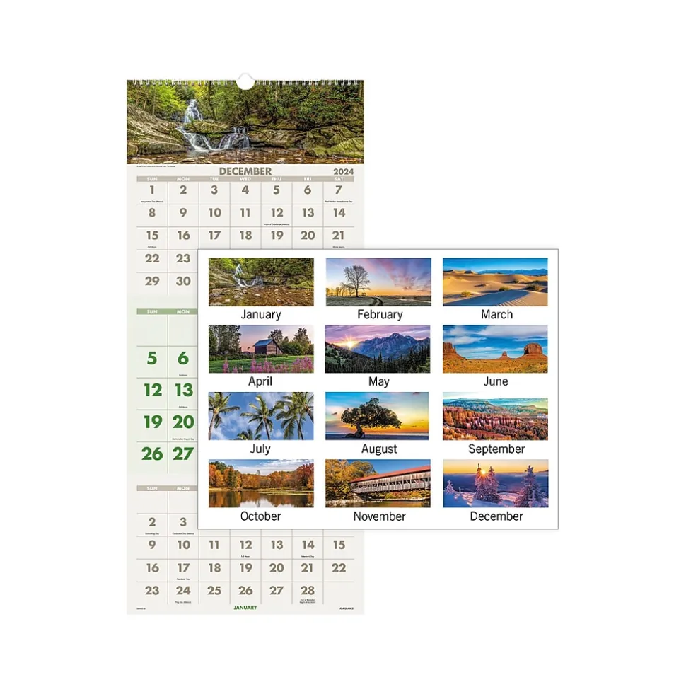 2025 AT-A-GLANCE Scenic 12" x 27" Three-Month Wall Calendar (DMW503-28-25)