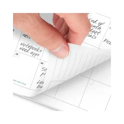 2025 AT-A-GLANCE Simplified by Emily Ley Greenbriar Floral 5.5