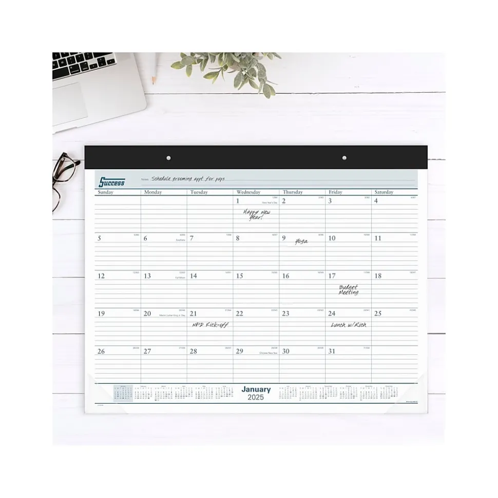2025 AT-A-GLANCE Success 21.75" x 17" Monthly Desk Pad Calendar, White/Blue (ST24-00-25)