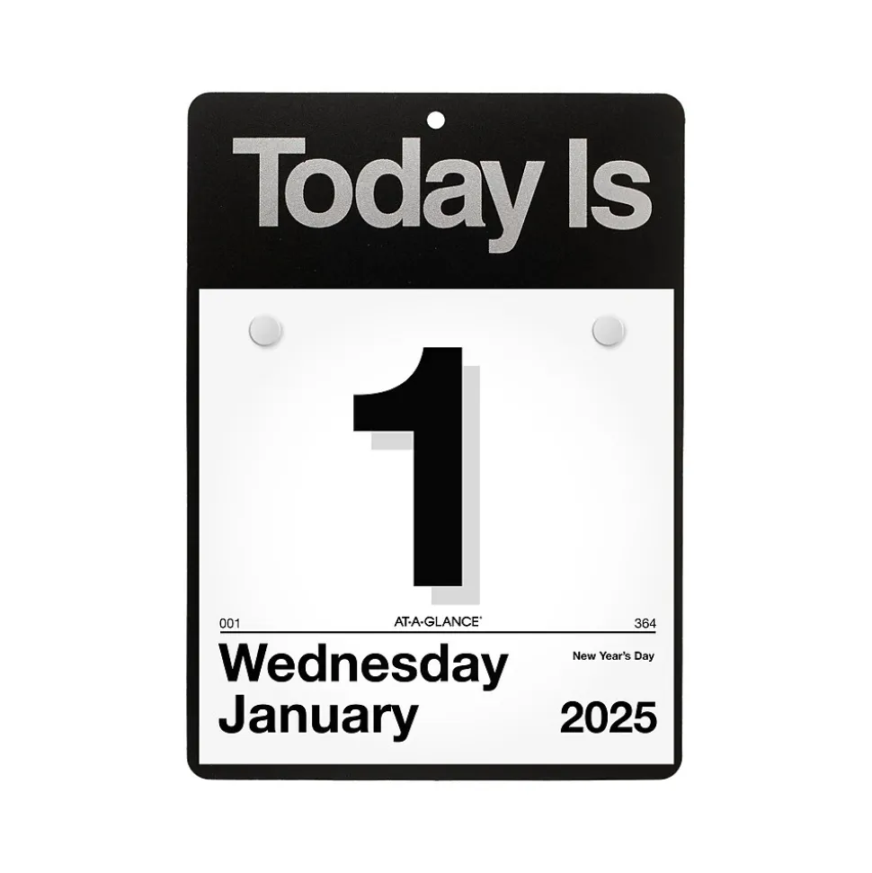 2025 AT-A-GLANCE Today Is 6.63" x 9.13" Daily Wall Calendar, White/Black (K1-00-25)