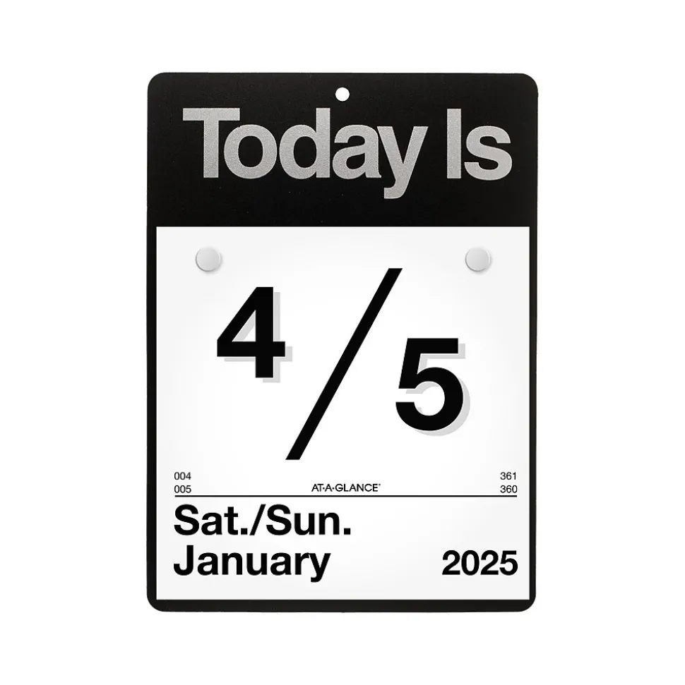 2025 AT-A-GLANCE Today Is 6.63" x 9.13" Daily Wall Calendar, White/Black (K1-00-25)