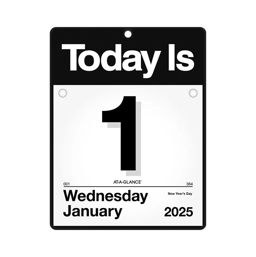 2025 AT-A-GLANCE Today Is 9.5" x 12" Daily Wall Calendar, White/Black (K4-00-25)