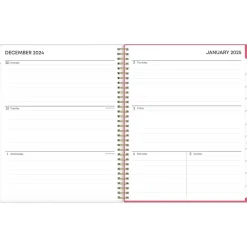 2025 Blue Sky Amalia 8.5" x 11" Weekly & Monthly Planner, Plastic Cover, Multicolor (148767-25)