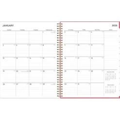 2025 Blue Sky Amalia 8.5