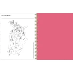 2025 Blue Sky Amalia 8.5