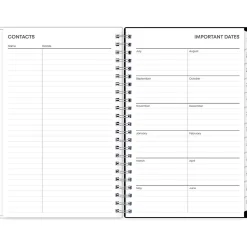 2024-2025 Blue Sky Analeis 5