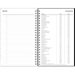 2024-2025 Blue Sky Analeis 5