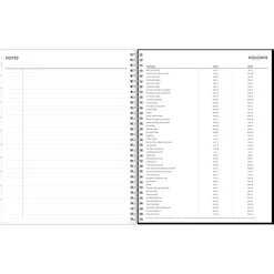 2024-2025 Blue Sky Analeis 8.5
