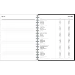 2024-2025 Blue Sky Analeis 8