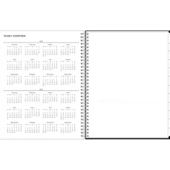 2025 Blue Sky Analeis 8.5