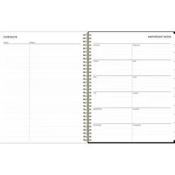 2025 Blue Sky Baccara Dark 8.5