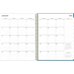 2025 Blue Sky Bakah Blue 8.5