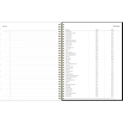 2024-2025 Blue Sky Belinda Selene Lucy 8.5